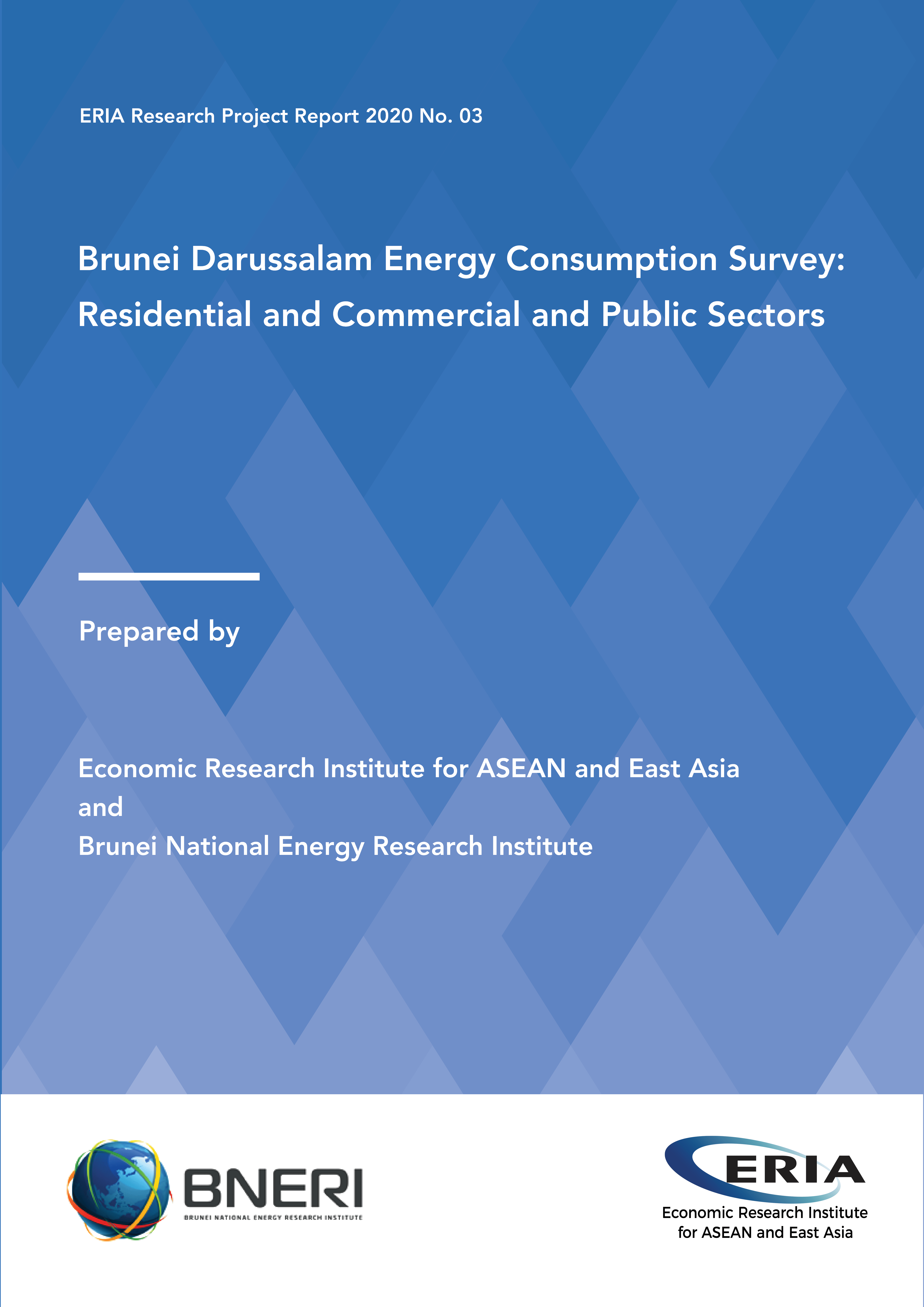Brunei Darussalam Energy Consumption Survey: Residential and Commercial and Public Sectors