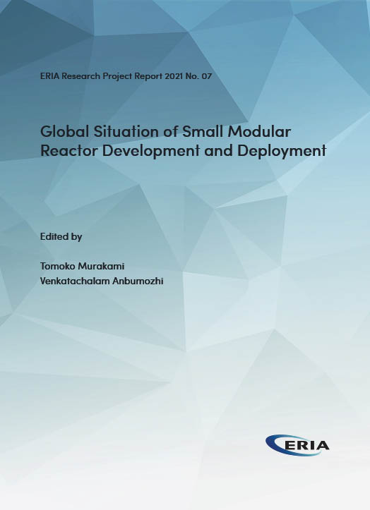 Global Situation of Small Modular Reactor Development and Deployment