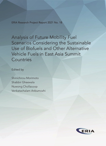 Analysis of Future Mobility Fuel Scenarios Considering the Sustainable Use of Biofuels and Other Alternative Vehicle Fuels in EAS Countries