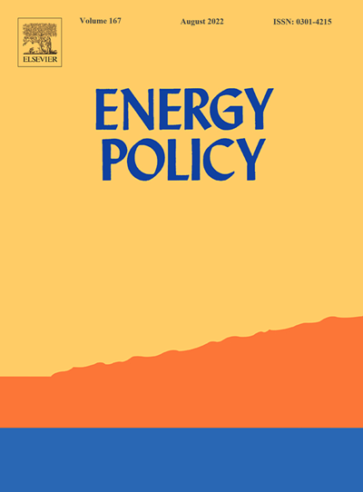 The Socio-economic Impacts of Energy Policy Reform Through the Lens of the Power Sector - Does Cross-sectional Dependence Matter?