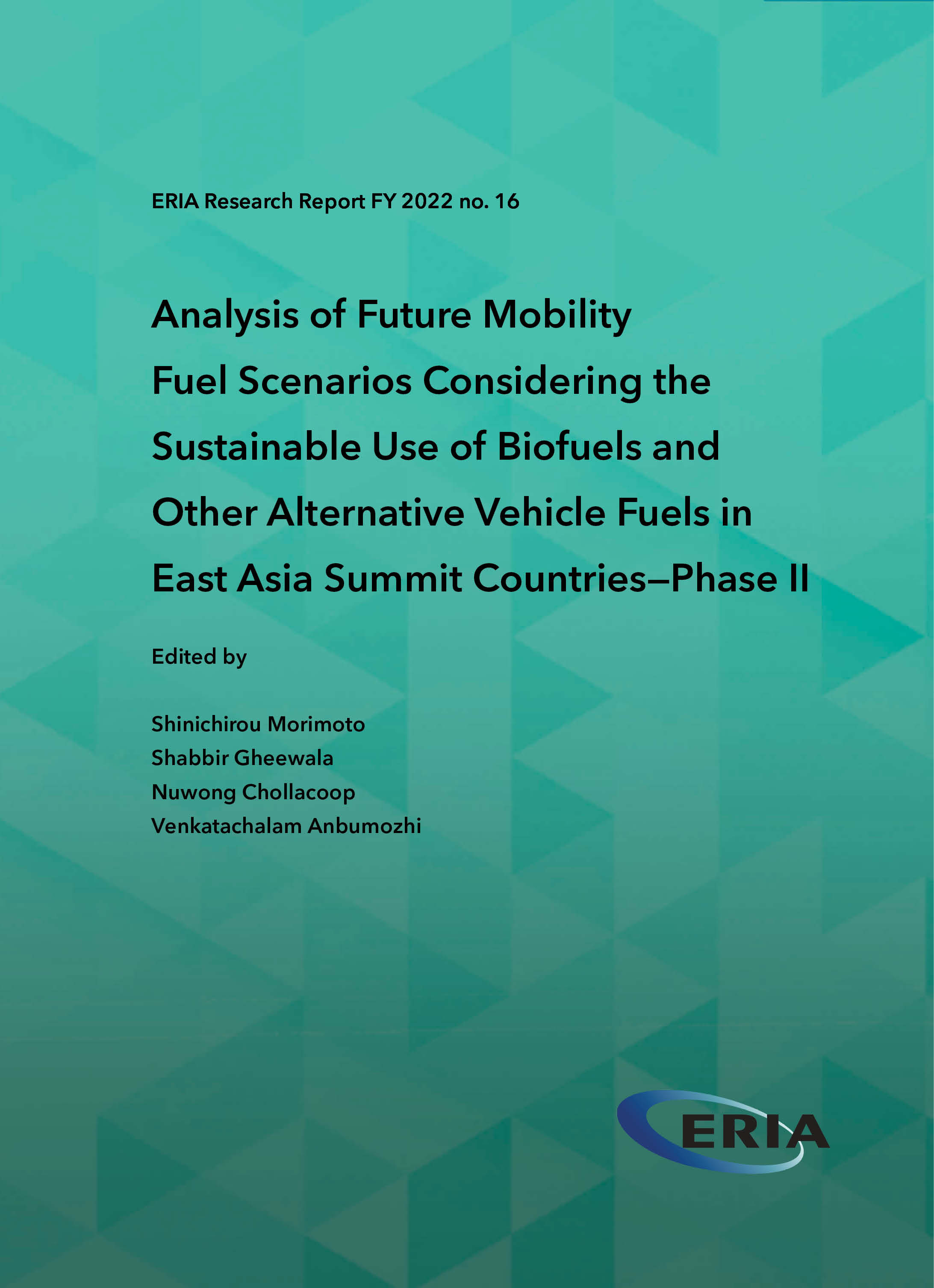 Analysis of Future Mobility Fuel Scenarios Considering the Sustainable Use of Biofuels-Phase-2