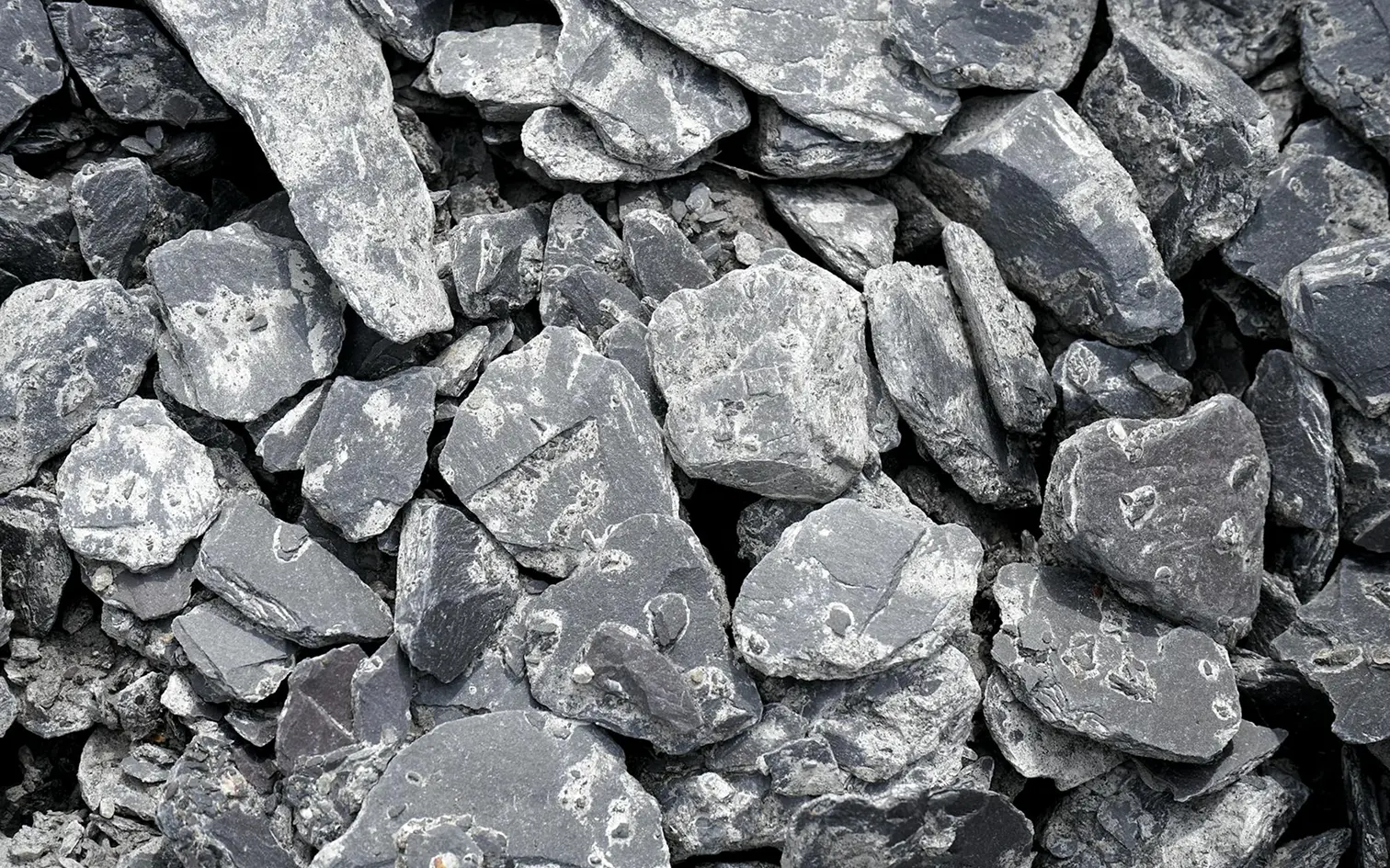 Critical Minerals Supply Chains Security and Resiliency in the ASEAN, Vol. 1