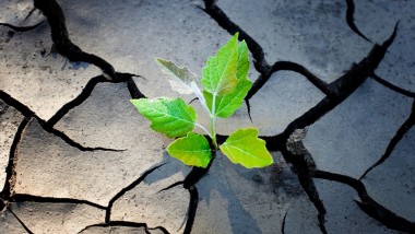 [Op-ed] What ASEAN’s Future Energy Landscape will Hold post-COVID-19?