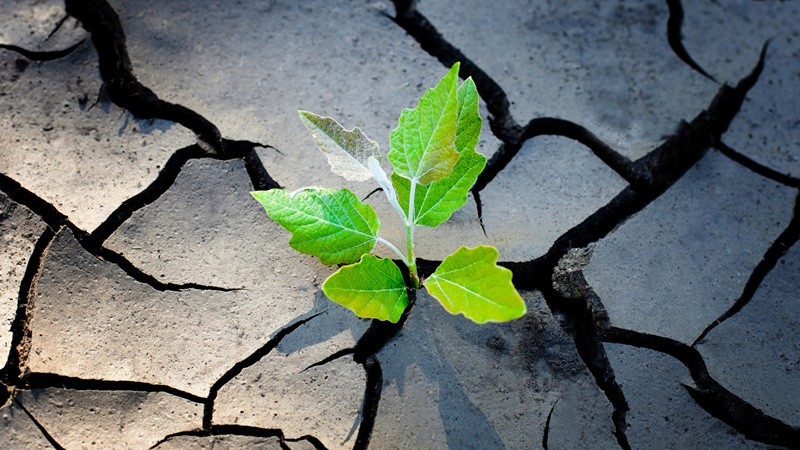 [Op-ed] What ASEAN’s Future Energy Landscape will Hold post-COVID-19?
