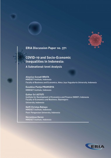 COVID-19 and Socio-Economic Inequalities in Indonesia: A Subnational-level Analysis