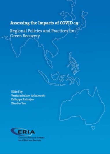 Assessing the Impacts of COVID-19: Regional Policies and Practices for Green Recovery