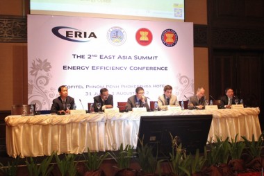 East Asian Energy Strategies Modified for Survival Fittest