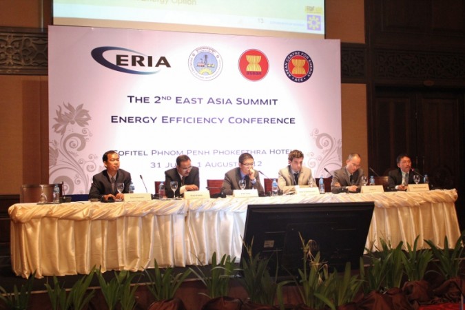 East Asian Energy Strategies Modified for Survival Fittest
