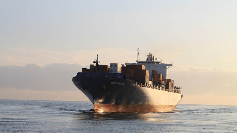 How Far Can the RCEP Ship Sail?