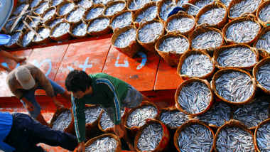 Article - ASEAN-India's discussion on Sustainable development of Maritime