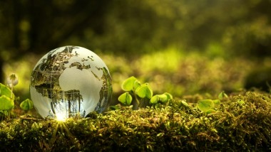 Saving the Planet and Making Profit: A Nexus Governance Approach for ASEAN