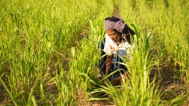 Indonesia COVID-19’s Stimulus: Way to Improve Safety Nets and Pre-Employment Card