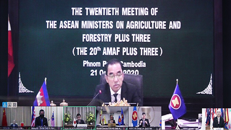 ERIA Presents to ASEAN Plus Three Agriculture and Forestry Ministers