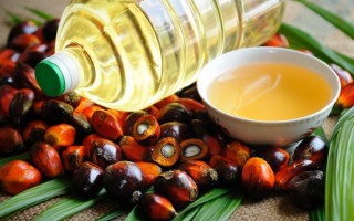 Three Point Pathway for Promoting Sustainable Palm Oil Production and Trade
