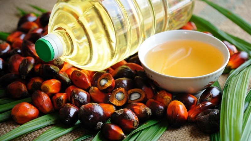 Three Point Pathway for Promoting Sustainable Palm Oil Production and Trade
