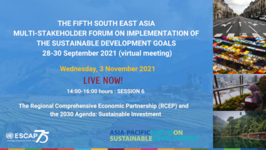 RCEP, SDGs, and the Need for Sustainable FDI Policies