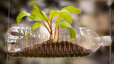 Japan’s Carbon Neutrality Challenge