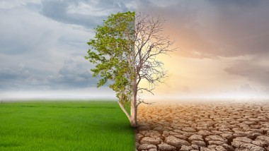 Regional Governments Key to Tackling Climate Change in Indonesia