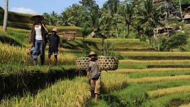 Investing in Nature Based Solutions to Tackle Triple Plenary Crisis