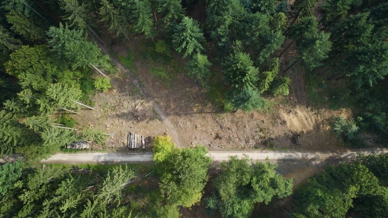 War in Ukraine and Rising Energy Costs Risk Hampering Asia’s Decarbonization Efforts