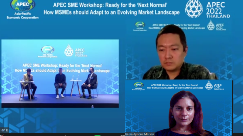 Trends in Micro, Small, Medium-sized Enterprises Discussed at APEC Workshop