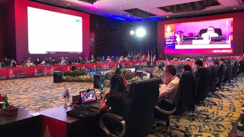 ERIA’s Lead Advisor for SEA Calls Digital Transformation a Double-edged Sword in G20 Meeting