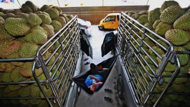 Durian Powers Sino-Thai Friendship