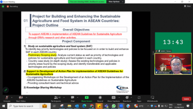 ERIA Talks Sustainable Agriculture at ASEAN Senior Officials Meeting