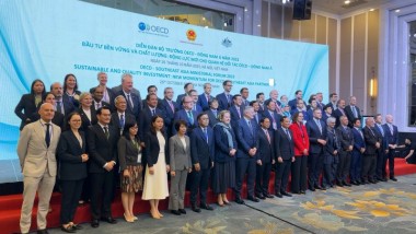 ERIA Discusses Resilient Supply Chains and Sustainable Investments at OECD Southeast Asia Ministerial Forum