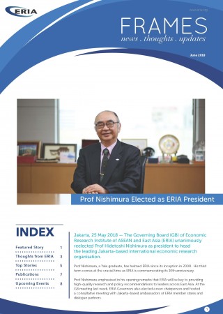 ERIA FRAMES | June 2018