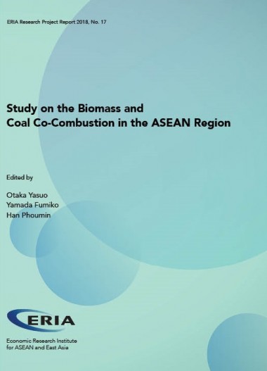 Study on the Biomass and Coal Co-Combustion in the ASEAN Region