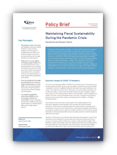Maintaining Fiscal Sustainability during the Pandemic Crisis