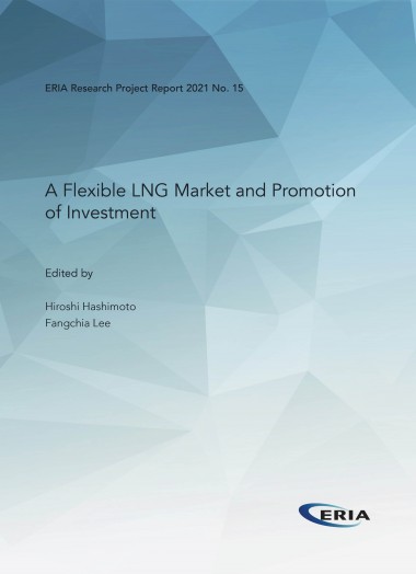 A Flexible LNG Market and Promotion of Investment