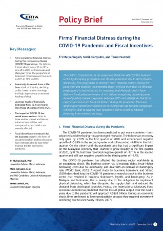Firms’ Financial Distress during the COVID-19 Pandemic and Fiscal Incentives