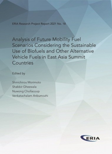 Analysis of Future Mobility Fuel Scenarios Considering the Sustainable Use of Biofuels and Other Alternative Vehicle Fuels in EAS Countries