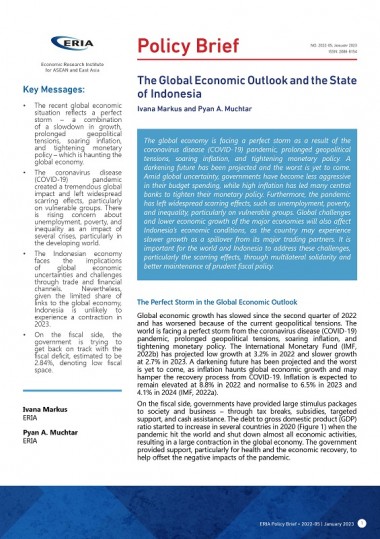 The Global Economic Outlook and the State of Indonesia