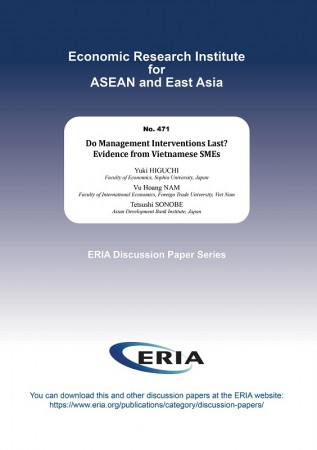 Do Management Interventions Last? Evidence from Vietnamese SMEs